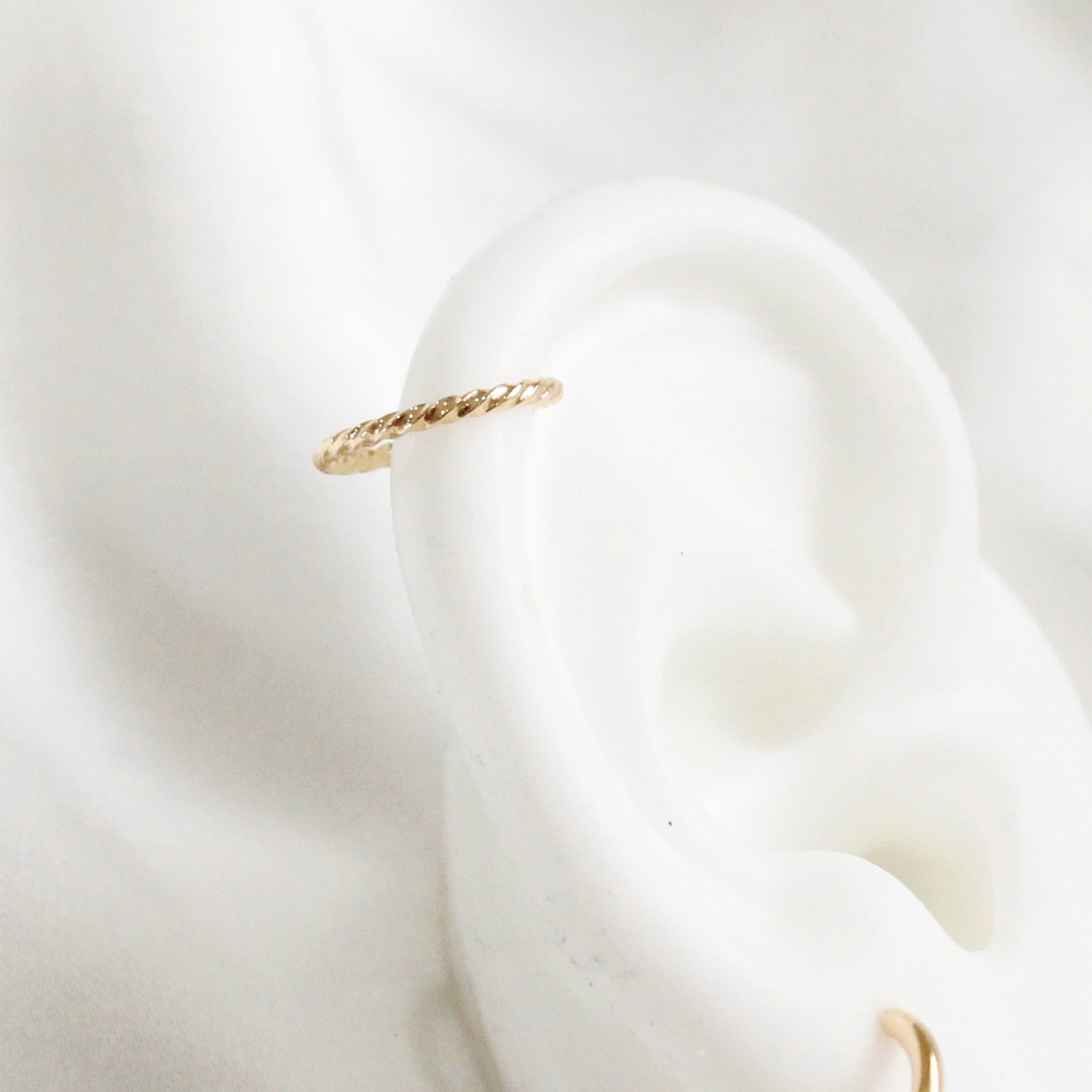 Raleigh Cartilage Piercing